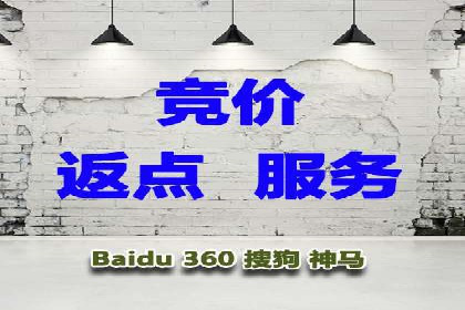 竞价端口开户全攻略，案例分析